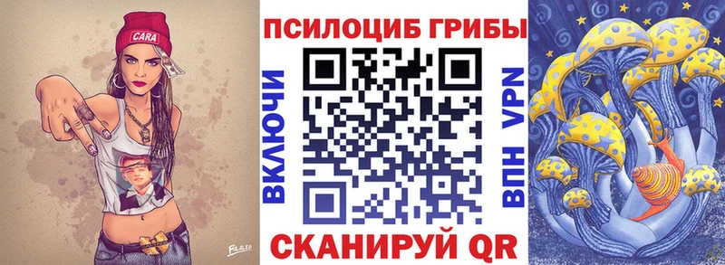 Купить закладки  Лаишево  Галлюциногенные грибы Psilocybe 