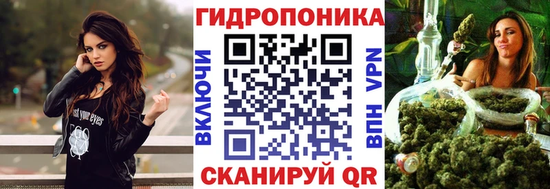 Шишки марихуана сатива  Купить закладки  Лаишево 